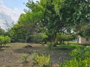 Terreno en Venta en RIO TAMIAHUA, ALTAMIRA TAMAULIPAS