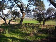 Terreno en Venta en Ronda