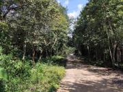 TERRENO EN VENTA EN RUTA DE LOS CENOTES PUERTO MORELOS...