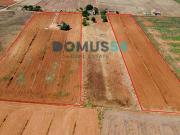 Terreno en Venta en Sa Pobla