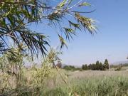 Terreno en Venta en Sagunto Sagunt