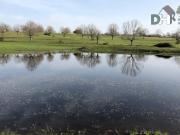 Terreno en Venta en Salamanca