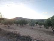 Terreno en Venta en Salinas