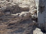 Terreno en Venta en Saltillo, Coahuila Oportunidad en...