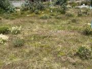 Terreno en venta en San Agustín Tlaxiaca Hidalgo