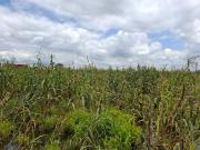 Terreno en venta en San Antonio Cacalotepec, San Andrés...