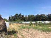 Terreno en venta en San Antonio, Cancún, Jalisco