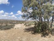 Terreno en venta en San Antonio del Jaral, General...