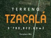Terreno en venta en San Antonio Tzacalá, Mérida, Yucatán