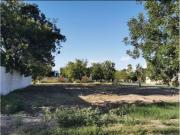 Terreno en venta en San Armando, Torreón, Coahuila de...
