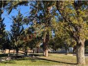 Terreno en venta en San Armando, Torreón, Coahuila de...