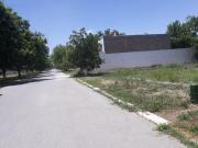 Terreno en venta en San Armando, Torreón, Coahuila de...