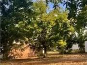 Terreno en venta en San Armando, Torreón, Coahuila de...