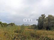 Terreno en Venta en San Bartolomé de La Torre
