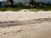 Terreno en venta en San Benito, Dzemul, Yucatán