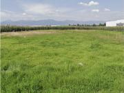 Terreno en venta en San Blas Otzacatipan, Toluca, México
