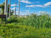 Terreno en Venta en San Carlos
