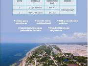 Terreno en venta en San Crisanto, Yucatán a la orilla de...