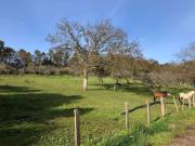 Terreno en venta, en San Cucao Llanera