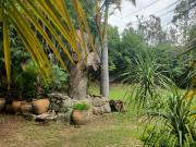 Terreno en venta en San Felipe Del Agua, Oaxaca de...