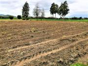 Terreno en venta en San Francisco Acatepec, San Andrés...