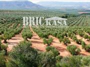 Terreno en venta, en San Ildefonso La Alameda Catedral Jaén