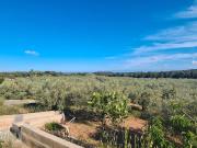 Terreno en Venta en San Jorge Sant Jordi