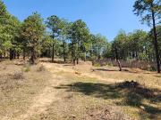 Terreno en Venta en San Jos? de las Torres cerca del...