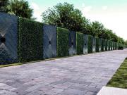 Terreno en Venta en San Juan Tilapa a 15 min de Toluca...