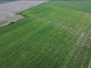 TERRENO EN VENTA EN SAN LUIS DEL AGUA CALIENTE