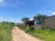 Terreno en venta en San Martín de las Flores de Abajo,...