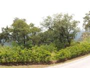 Terreno en venta en San Mateo Tlaltenango, Cuajimalpa de...