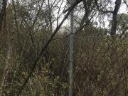 Terreno en venta en San Miguel Ameyalco, Lerma, Estado...