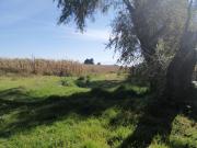 Terreno en venta en San Miguel Totocuitlapilco, Metepec,...
