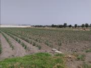 Terreno en venta en San Miguel Totocuitlapilco, Metepec,... Terreno en venta en San Miguel Totocuitlapilco, Metepec,...