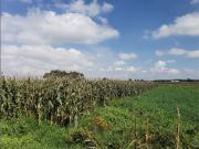 Terreno en venta en San Miguel Totocuitlapilco, Metepec,...