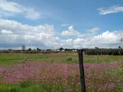 Terreno en venta en San Miguel Totocuitlapilco, Metepec,...