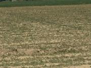 Terreno en venta en San Miguel Zacango, Toluca, México