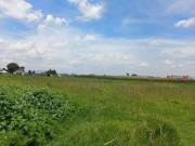 TERRENO EN VENTA EN SAN NICOLAS T. TOLUCA