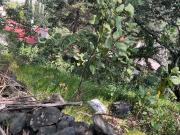 Terreno en venta en San Pedro Mártir, Tlalpan, Ciudad de...