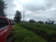 Terreno en venta en San Pedro Totoltepec, Toluca, México