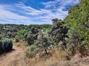 Terreno en Venta en San Sebastián de los Reyes