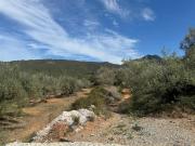 Terreno en Venta en San Sebastián de los Reyes