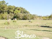 Terreno en Venta en San Sebastian, Escobar, G.B.A. Zona...