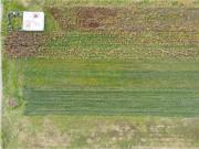 Terreno en venta en San Sebastian, Metepec, México