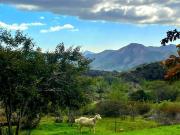 Terreno en venta en San Vicente, Ensenada, Baja California