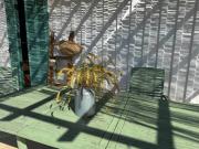 Terreno en Venta en Sanlúcar de Barrameda