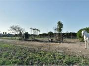 Terreno en Venta en Sanlúcar de Barrameda