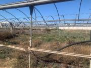 Terreno en Venta en Sanlúcar de Barrameda