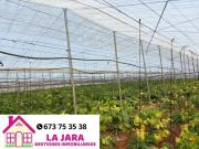 Terreno en venta en Sanlúcar de Barrameda, Camino de...